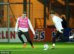  莱万多夫斯基什么水平 